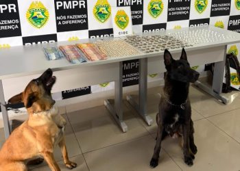 Mulher é presa com drogas no Cajuru após abordagem da CIOC