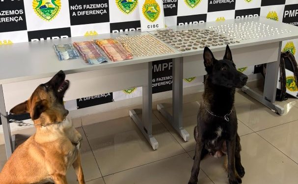 Mulher é presa com drogas no Cajuru após abordagem da CIOC