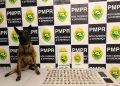 Indivíduo é preso com maconha após tentar esconder droga em bar na CIC