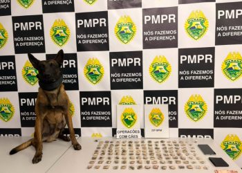 Indivíduo é preso com maconha após tentar esconder droga em bar na CIC