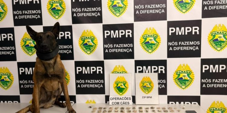 Indivíduo é preso com maconha após tentar esconder droga em bar na CIC