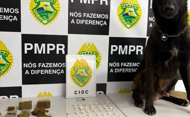Cães farejadores localizam drogas escondidas no Prado Velho, em Curitiba