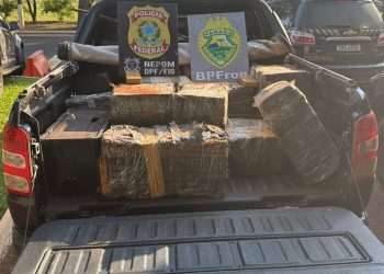 BPFRON e PF apreendem mais de 425 quilos de maconha no oeste do Paraná