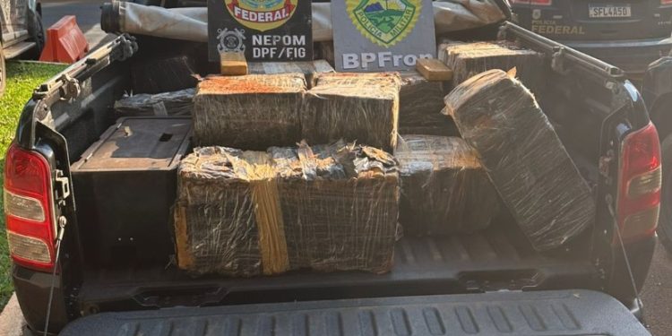 BPFRON e PF apreendem mais de 425 quilos de maconha no oeste do Paraná