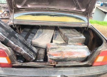 PMPR prende homem e apreende 220 quilos de maconha no Paraná