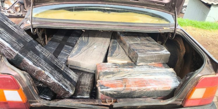 PMPR prende homem e apreende 220 quilos de maconha no Paraná
