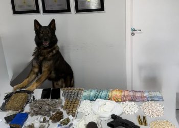 PCPR mira organização voltada ao narcotráfico e lavagem de dinheiro no bairro Cajuru