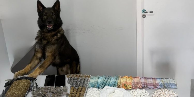 PCPR mira organização voltada ao narcotráfico e lavagem de dinheiro no bairro Cajuru