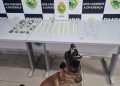 Cães farejadores localizam drogas escondidas no Alto Boqueirão