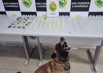 Cães farejadores localizam drogas escondidas no Alto Boqueirão