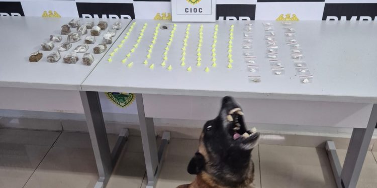 Cães farejadores localizam drogas escondidas no Alto Boqueirão