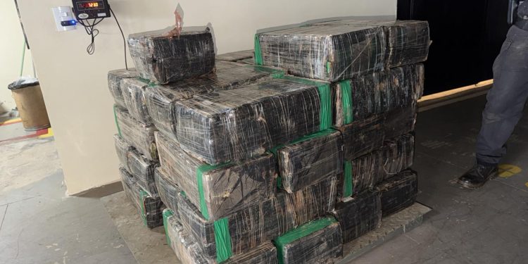 BPFRON apreende 723 quilos de maconha durante ação conjunta com a Polícia Federal