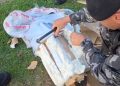 CIOC apreende 10 quilos de haxixe durante abordagem a ônibus em Curitiba