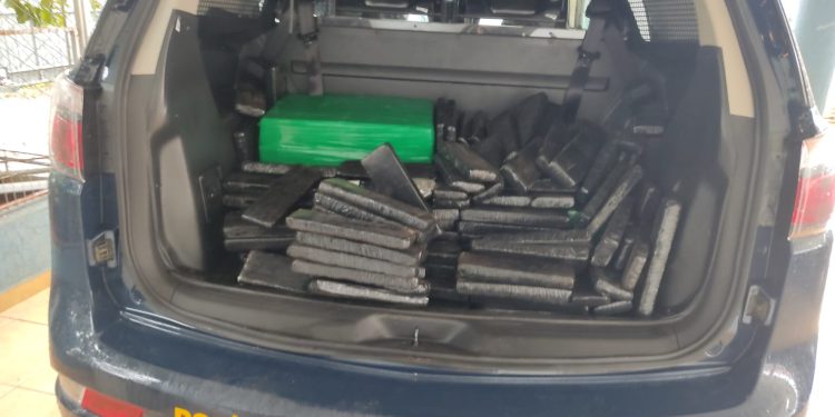 PRF apreende mais de 160 quilos de maconha e prende casal na BR-376