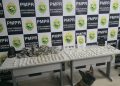 ROTAM com apoio de cães de faro apreendem mais de 6,6 quilos de drogas no Parolin