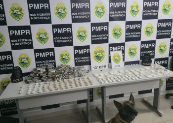 ROTAM com apoio de cães de faro apreendem mais de 6,6 quilos de drogas no Parolin