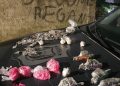ROMU prende homem com cerca de 700 porções de drogas em São José dos Pinhais