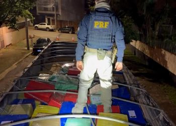 PRF apreende quase 7 toneladas de maconha em carreta na BR-376