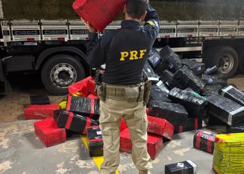 Ação integrada apreende quase 4 toneladas de maconha escondidas em carga de feno na BR-369