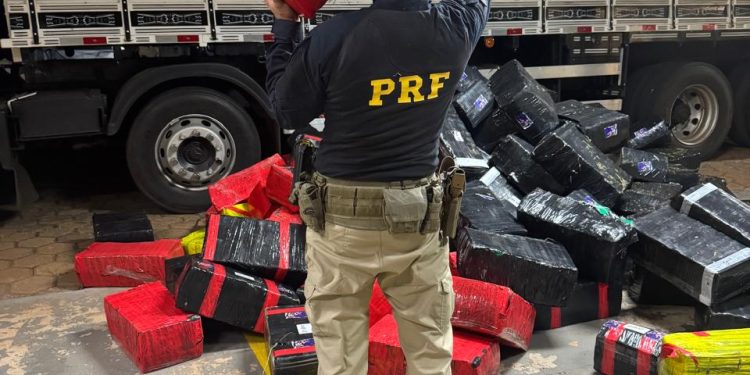 Ação integrada apreende quase 4 toneladas de maconha escondidas em carga de feno na BR-369