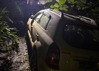 DFRV deflagra operação contra grupo especializado em furtos de veículos Hyundai