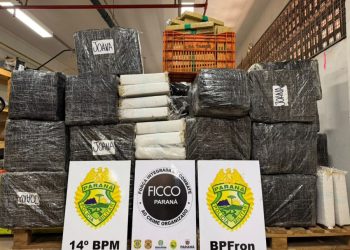 Ação integrada apreende mais de 1,5 tonelada de maconha e prende homem na BR-277