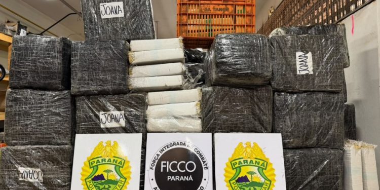Ação integrada apreende mais de 1,5 tonelada de maconha e prende homem na BR-277