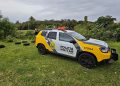 Polícia Civil prende cinco suspeitos de envolvimento em homicídio no Campo Comprido
