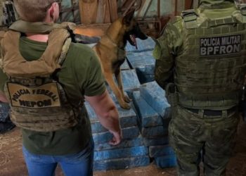 Polícia apreende 708 quilos de maconha e armas em propriedade rural