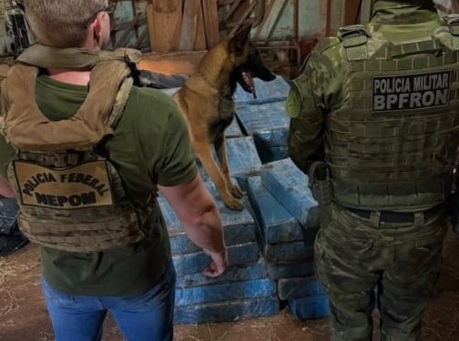 Polícia apreende 708 quilos de maconha e armas em propriedade rural