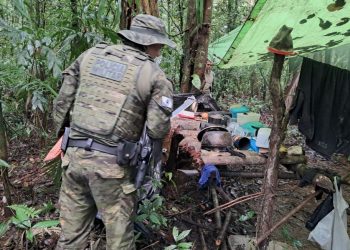 Polícia Ambiental destrói acampamento clandestino usado por caçadores em Antonina