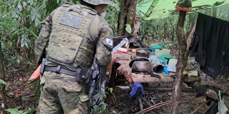 Polícia Ambiental destrói acampamento clandestino usado por caçadores em Antonina