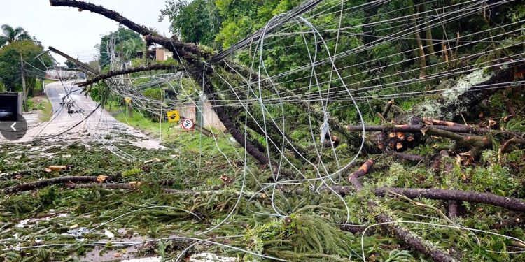 Frente fria provoca chuva forte e ventos acima de 100 km/h no Paraná