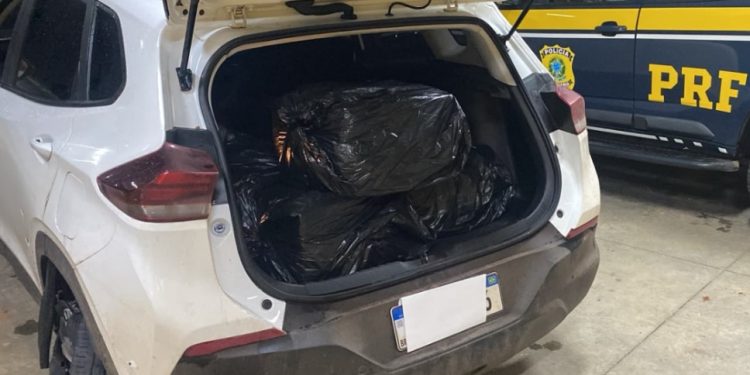 PRF apreende mais de 150 kg de maconha e prende homem após tentativa de atropelamento