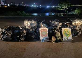 Forças de segurança apreendem mais de 300 quilos de maconha em Foz do Iguaçu