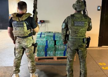BPFRON e PF apreendem 385 kg de maconha em imóvel usado como depósito