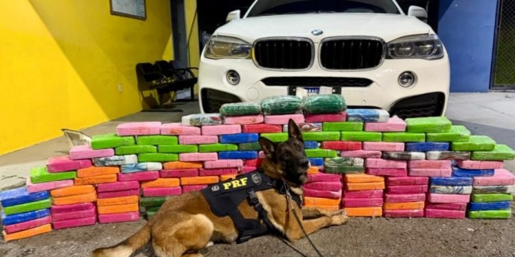 PRF apreende 136 kg de cocaína em BMW na BR-277 em Balsa Nova