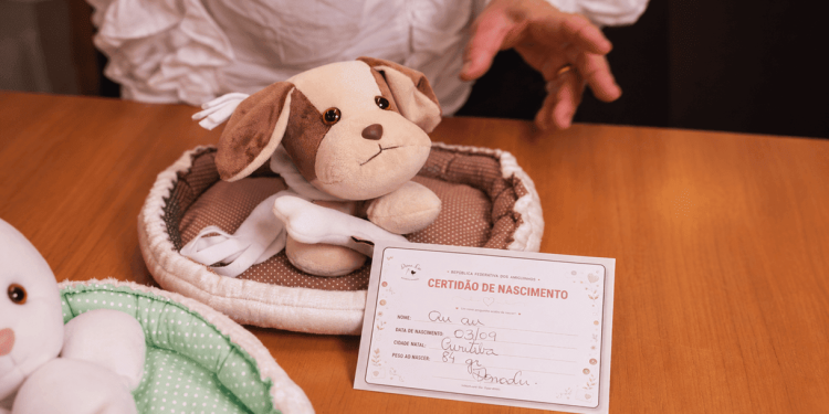 Mês das Crianças: Shopping Curitiba terá oficina de confecção de ursinhos pet
