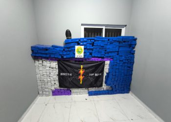 ROTAM apreende quase 1 tonelada de maconha em carreta na BR-116