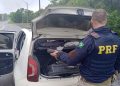 PRF apreende mais de 170 kg de maconha durante abordagem na BR-373