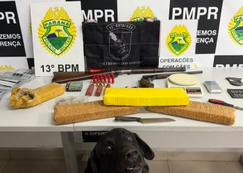 Equipe K9 da PM apreende drogas, armas e munições no bairro Caximba