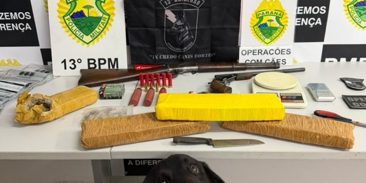 Equipe K9 da PM apreende drogas, armas e munições no bairro Caximba