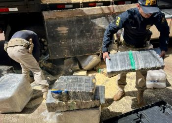 PRF apreende 2,6 toneladas de maconha escondidas em carga de maravalha