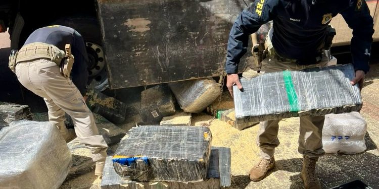 PRF apreende 2,6 toneladas de maconha escondidas em carga de maravalha