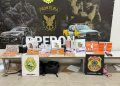 BPFRON e Polícia Federal prendem quatro mulheres com 1.270 ampolas de tirzepatida em Cascavel