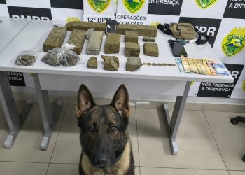 Equipe K9 apreende mais de 5,5 kg de maconha e prende suspeito de tráfico em Curitiba