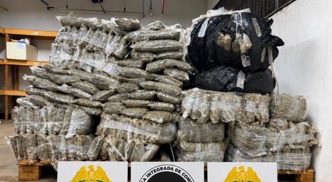 PM apreende 478 quilos de maconha e prende dois homens durante operação