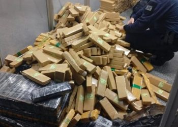 Guarda Municipal apreende quase meia tonelada de maconha durante fuga na BR-277