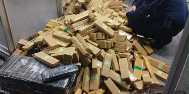 Guarda Municipal apreende quase meia tonelada de maconha durante fuga na BR-277