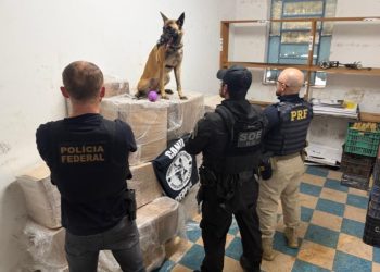 Ação conjunta apreende quase 1 tonelada de maconha na BR-277